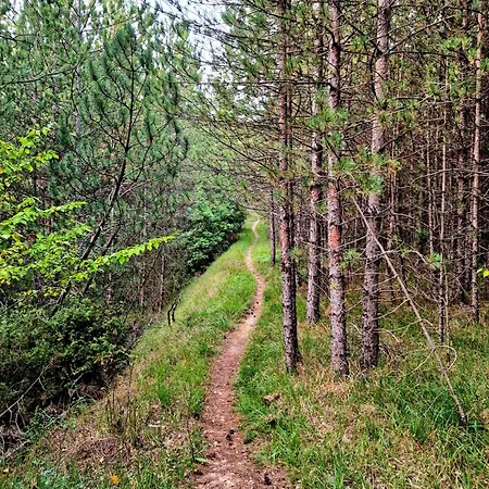 דירה Casa Di Aria By Tramonti